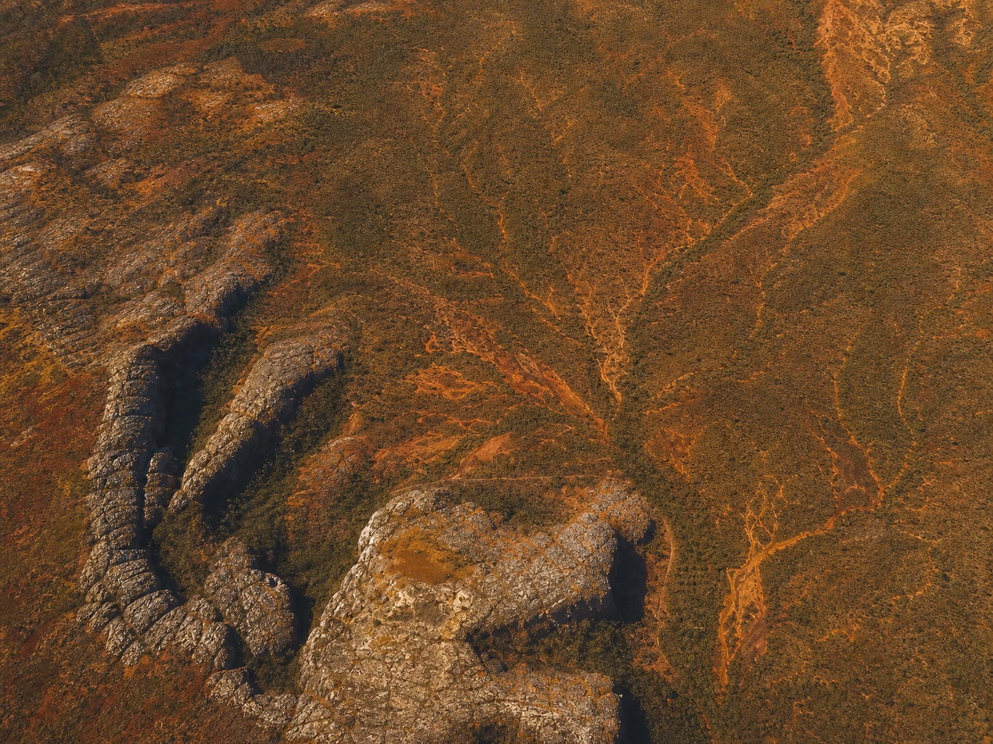 Aerial view of a Brazilian lateritic plateau